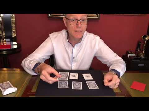 Wild Shock from Merlins of Wakefield