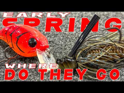 Where Bass Go In Early Spring! (And How To Catch Them)