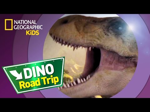 T-Rex  - Dino Road Trip - NatGeo