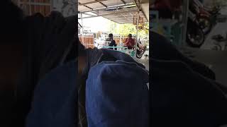 Download lagu PENGACARA , pengangguran banyak acara ππ #shorts mp3 Download lagu PENGACARA , pengangguran banyak acara ππ #shorts mp3