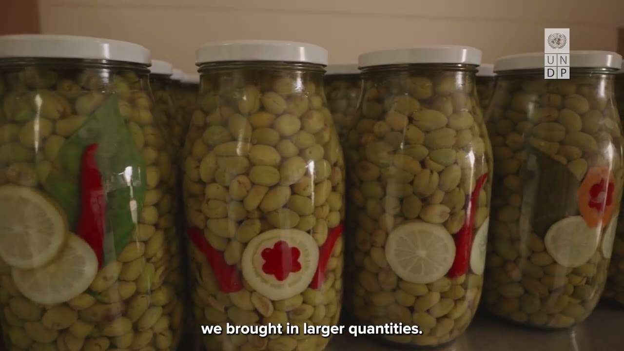 Women-Led Cooperatives in South Lebanon Affected by the War