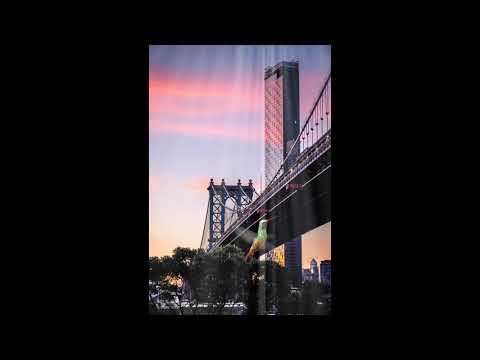 THE VINYLIST - Back To Love [Flow Mix]