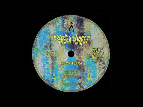 PREMIERE: Omega Forest - Mushroom Snake [Dance All Day]