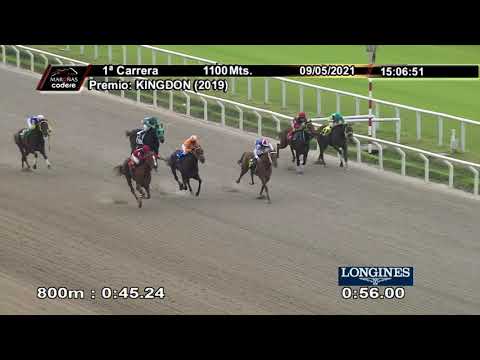 210509 c01 MAGA PURSE