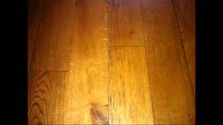 She Keeps Bees - Cold Eye