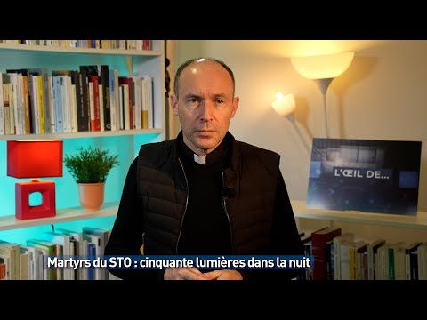 Martyrs du STO : cinquante lumières dans la nuit