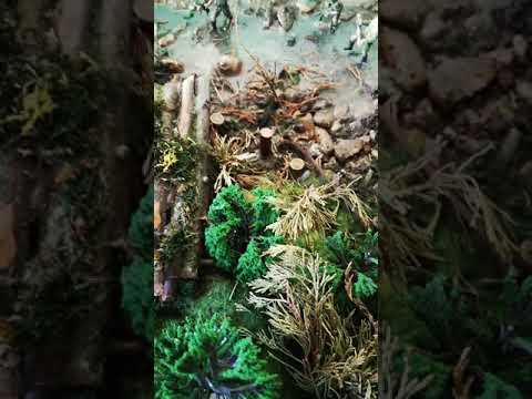 The fury enter the German camp