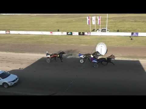 Trka "Državni šampionat za grla od 5 godina" 08.11.2020 Saphir A.T. - Miodrag Pantić