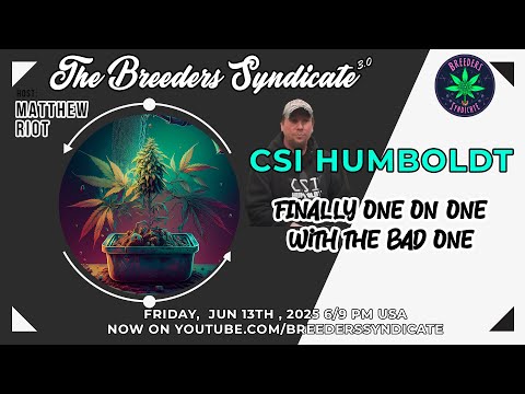 CSI Humboldt One on One - Chemdog, OG Kush, Zkittles Origins & HUGE Collective Announcement! *Fixed