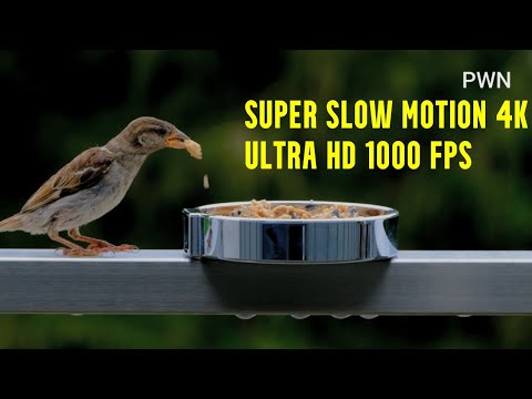 Super SLOW MOTION in 4K ULTRA HD 1000FPS PWN