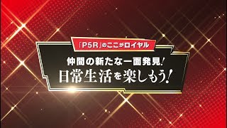 「P5R」のここがロイヤル！　日常生活を楽しもう！（モルガナ通信Vol.5）