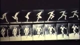 Anthony Vidler - Warped Space