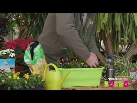 Comment et quand planter des bulbes dans une jardinière ?