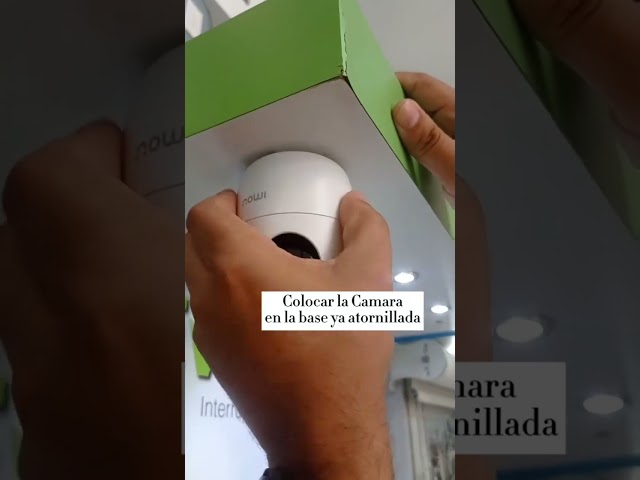 Video relacionado