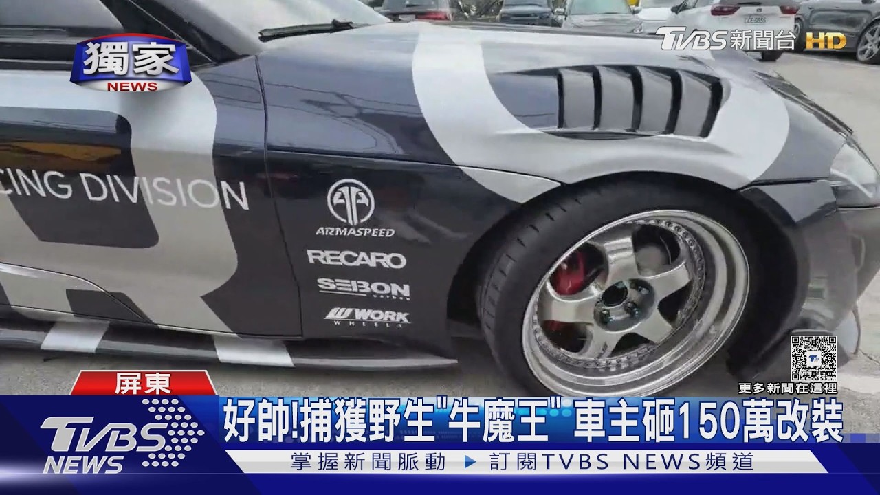 影音／現身億級車聚！　捕獲野生「牛魔王」 車主砸150萬改裝