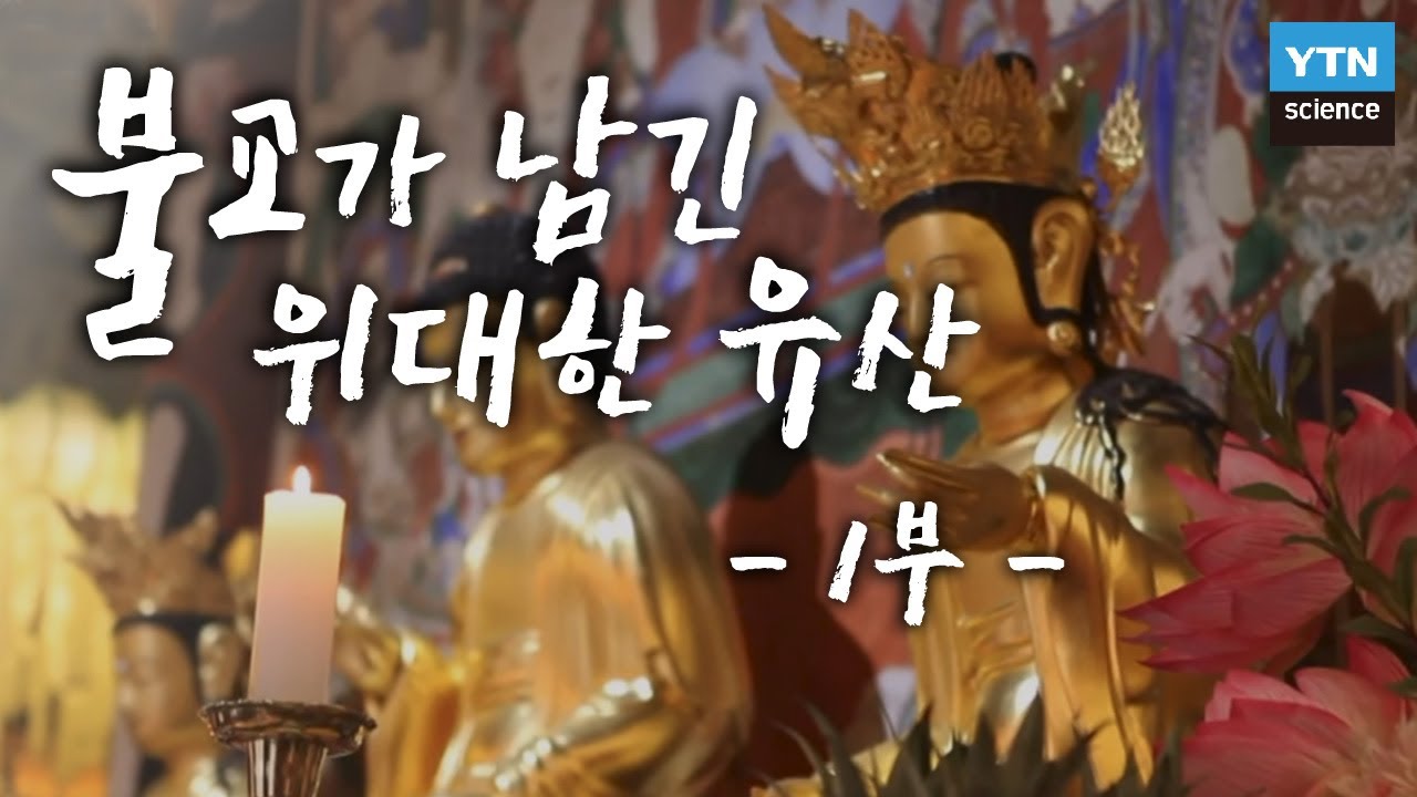 불교가 남긴 위대한 유산 2부작 1부 : 사찰 건축으로 알아본 불교 / YTN 사이언스