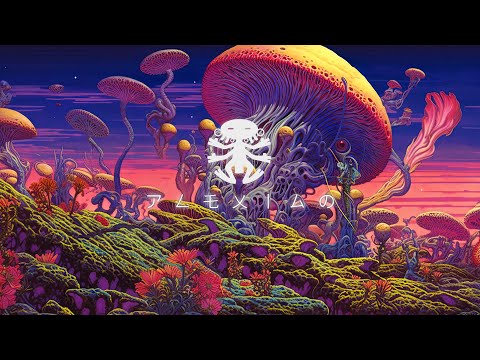 PLEXIGO - Mad Worlds [Twilight Forest / Dark Psy] • DJ-Set • August 2O24