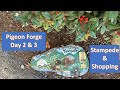 Pigeon Forge Day 2 3 Dolly Parton S Stampede Tanger Outlets