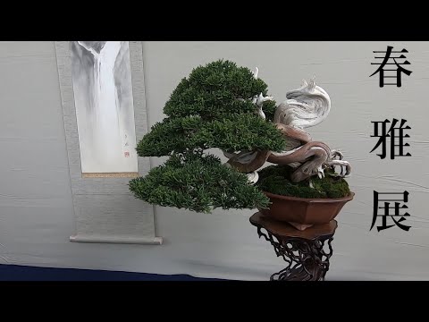 29th Shunga ten, Shohin Bonsai Fair