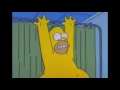 THE SIMPSONS HOMER S CHECK UP WITH DR HIBBERT