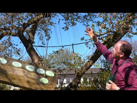 Jochen Bock - Gärtner im Nordkolleg Rendsburg