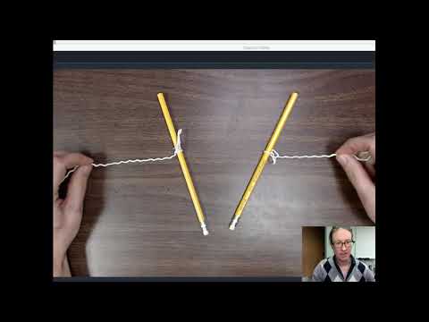 Biol 110: 13: Mitosis