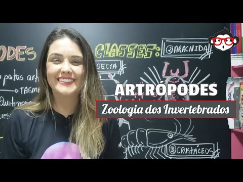 Zoologia dos Invertebrados - ARTRÓPODES 🐵📚