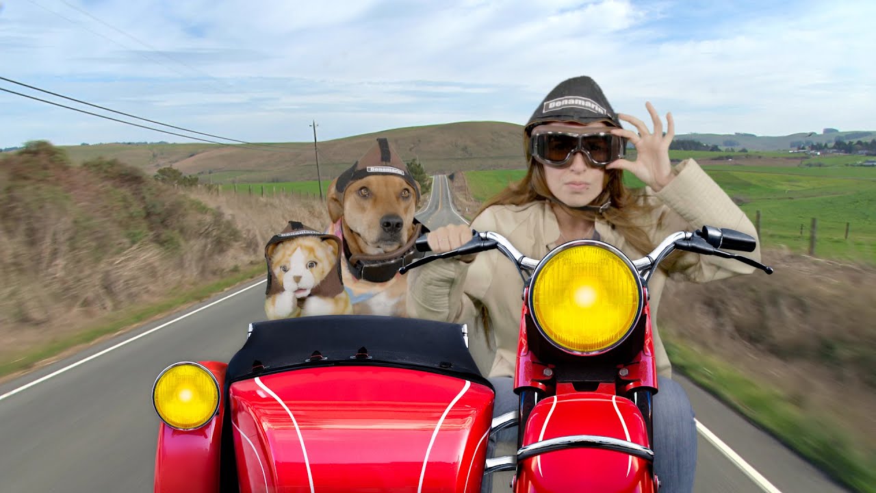 Nutramax Denamarin Tablets for Cats & Dogs