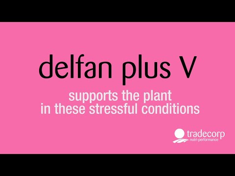 Delfan Plus V supports your crops