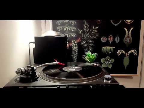 Caron wheeler-"Open".(beatminerz remix).