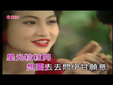 張曉柔=他鄉思念的暗瞑  感謝Mark Kuo分享
