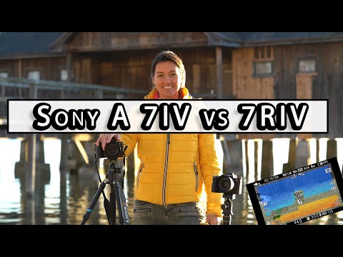 Sony 7iv vs. Sony 7Riv - Taking pictures with Janina Fischer Foto