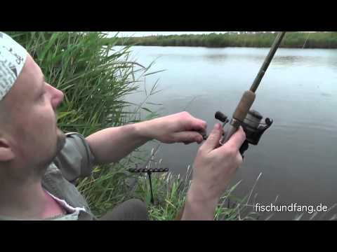 Matze Koch: Eine Friedfisch-Odyssee - Matzes Mätzchen 09-2013