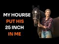 While My Husband Was Away I Found Strength With Our Horse A True Story Of Compassion
