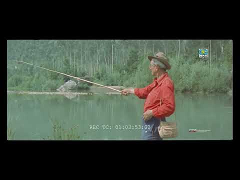 Seguendo il Serchio (Giorgio Ferroni, 1955)