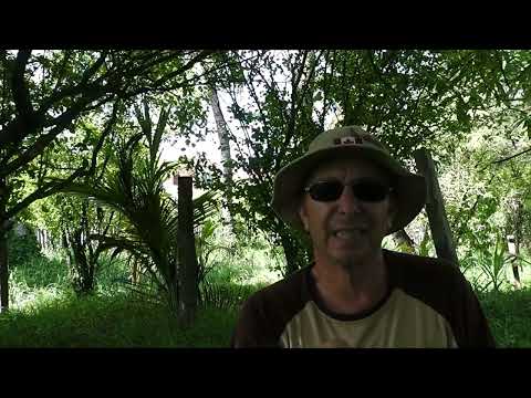 Michael P. McElhiney, 04198-097 release date 07/04/2034