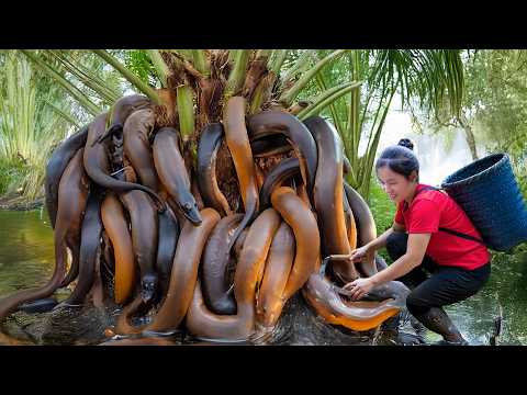Harvest 10000+ Giant Wild Eels Using Homemade Traps in River Goes to Market Sell | Susan Daily Life