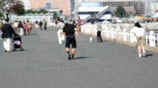 preview picture of video 'Yamashita Park, Yokohama'