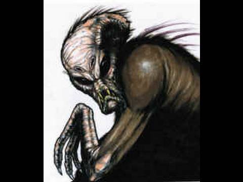 Animal X Natural Mystery Unit - el Chupacabra