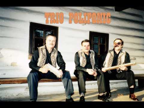 Trio Polifonic - Am o mandra mititica & Dorul meu nu-i calator