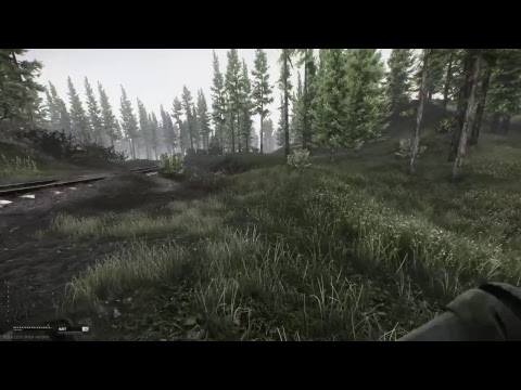 Escape From Tarkov exits at (shoreline) (road to customs) and (CCP Temporary exit)