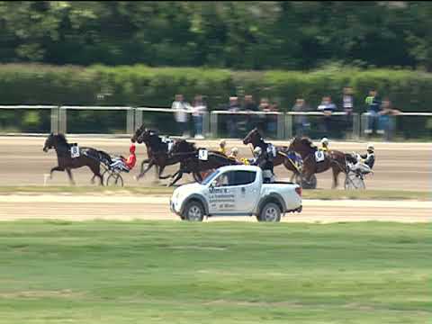 Trotto 01/05/2019 - 3ª corsa - G.P. Lotteria 1ª batteria