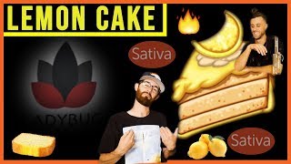 LEMON CAKE Strain Review