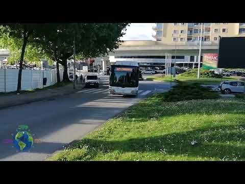 Mundo dos Autocarros - STCP 1130