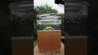 How to Brew Kombucha at Home: Easy Steps!