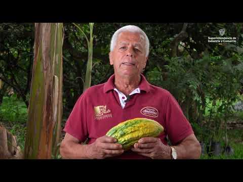 Marcas Colectivas | Andalucía, Capital Mundial de la Gelatina 🍮