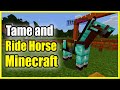How To TAME And RIDE A Horse In Minecraft New Method