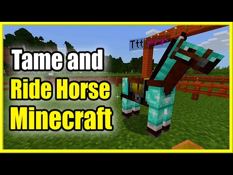 How to TAME and RIDE a Horse in Minecraft (New Method!)
