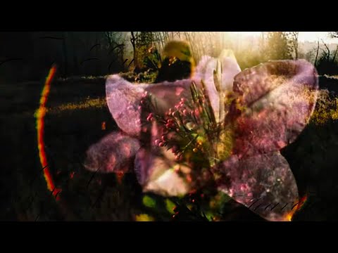 (free) sewerperson x guardin x emo rap type beat "crash 'n burn" (prod. secre x everythingmackk)