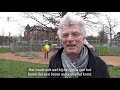Zaag in iconische beuk in Utrecht [RTV Utrecht]